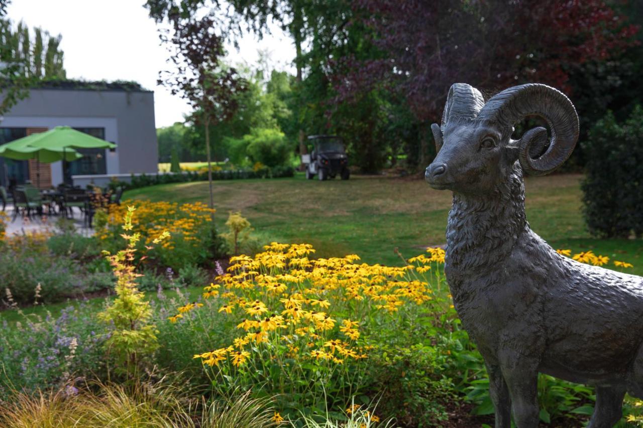 Castlemartyr Resort Hotel Exterior photo The Bighorn Sheep statue at the entrance of the Bighorn Sheep Provincial Park